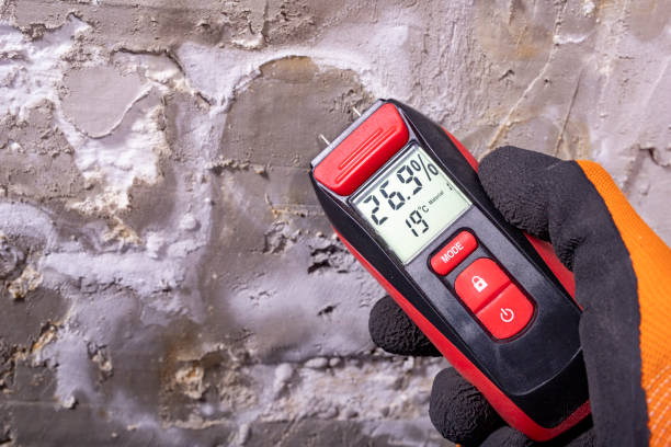 Best Mold Remediation for Schools in Warren, OH